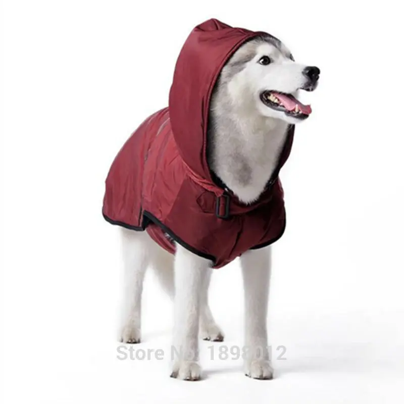HTB1ETAIKpXXXXb_XFXXq6xXFXXXn
