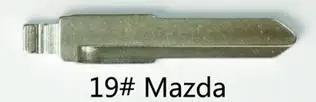 Y-19#