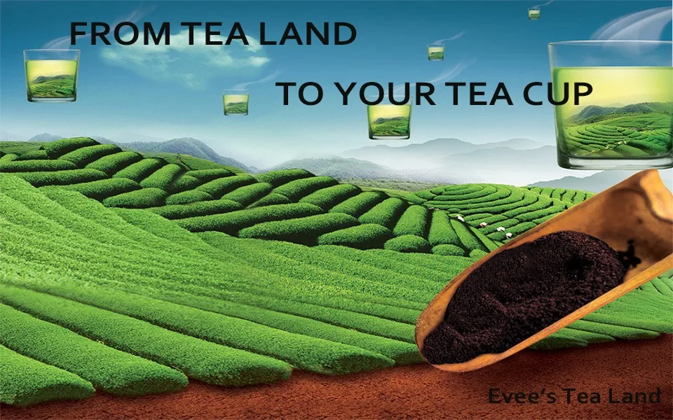 tea-banner1