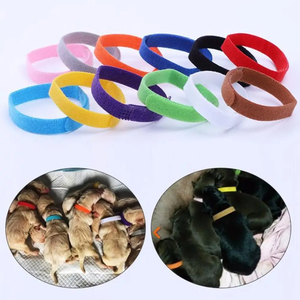 

Low Price 12 Colors Identification ID Whelp Puppy Kitten Dog Pet Cat Velvet Practical Puppy ID Collar LZC6003
