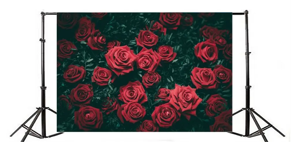 

Photography Backdrop Red Rose Flowers Green Leaves Gloomy Nature Romantic