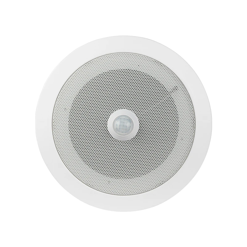 Ceiling Pir Motion Sensor Audio Player Overhead Speaker Builtin Mp3