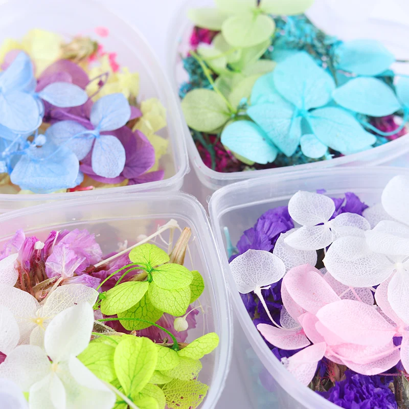 Online Whole Dried Flower Pictures From China How To Make Dried Flowers For Nail Art Ideas