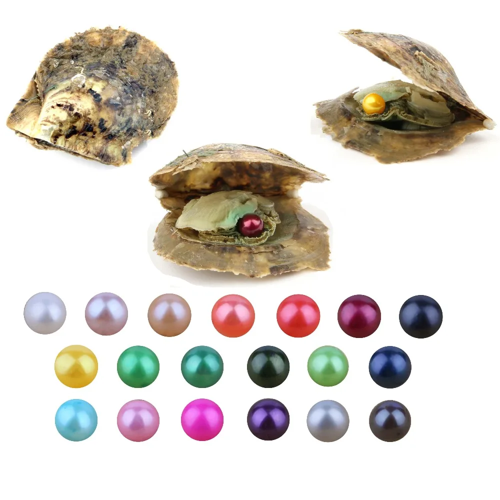 

Random Color Akoya Cultured Love Wish Pearl Oysters with 7-8 mm Round Real Pearls Inside Birthday Gifts