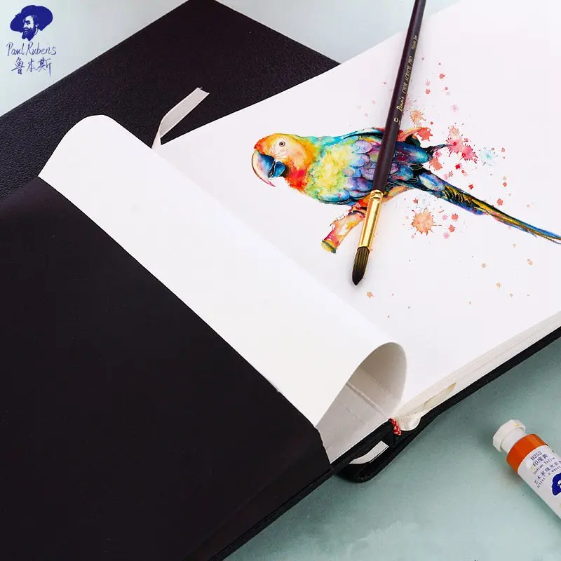 Paul Rubens Journal de papier aquarelle 20 feuilles, 63,5 kg/300 g/m²