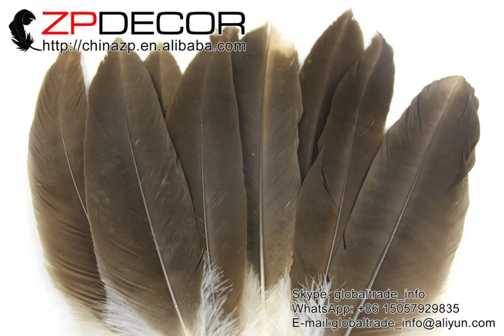 ZPDECOR перо 50 шт./лот 30 40 см (12 16 дюймов) ручной выбор высокое качество редкие и