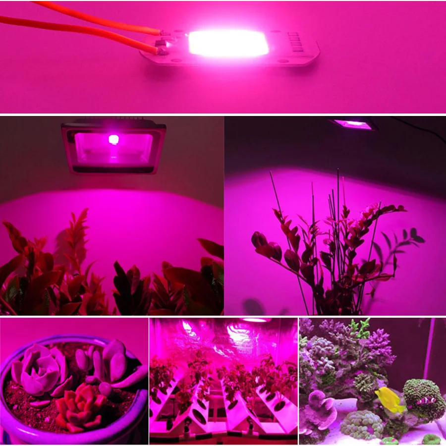 Светодиодный COB чип для лампа для растений, с широким диапазонном Вход 220 V AC 30W50W 100 Вт для комнатных растений рост рассады и с цветочным узором
