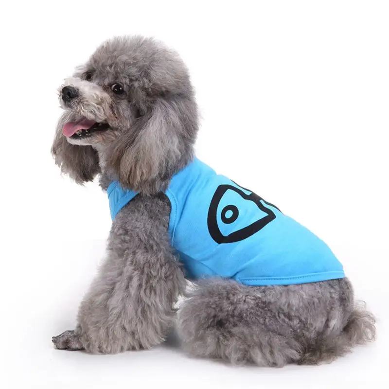 Комбинезон догмода. Одежда для маленьких собак. Одежда для собак девочек. Жилетка для собаки. Одежда для больших собак.