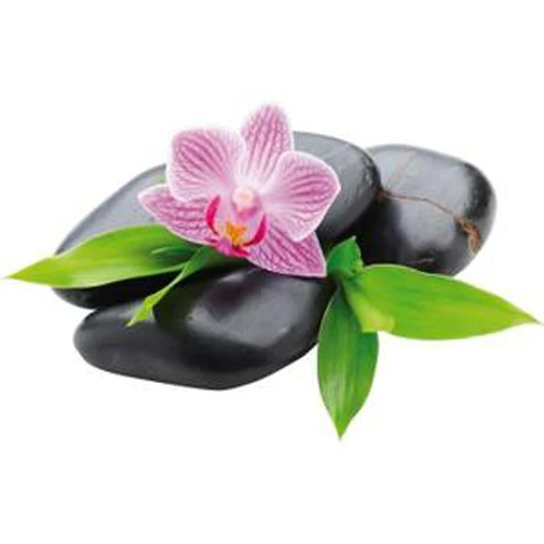 stickers-galets-orchidee-ref-nw2604-20x32-cm