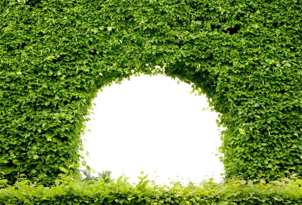 

Laeacco Green Backdrops Spring Vine Wall Mystery Arch Door Photographic Backgrounds Photocall For Digital Studio Shoot