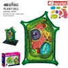 4D Plant cell Intelligence Assembling Toy Human Organ Anatomy Model Medical Teaching DIY Popular Science Appliances ► Photo 1/6