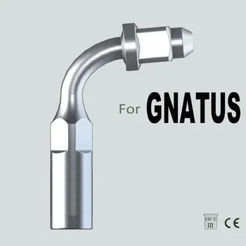 

ED2 dental endodontics tip for GNATUS dental instrument oral hygiene teeth whitening