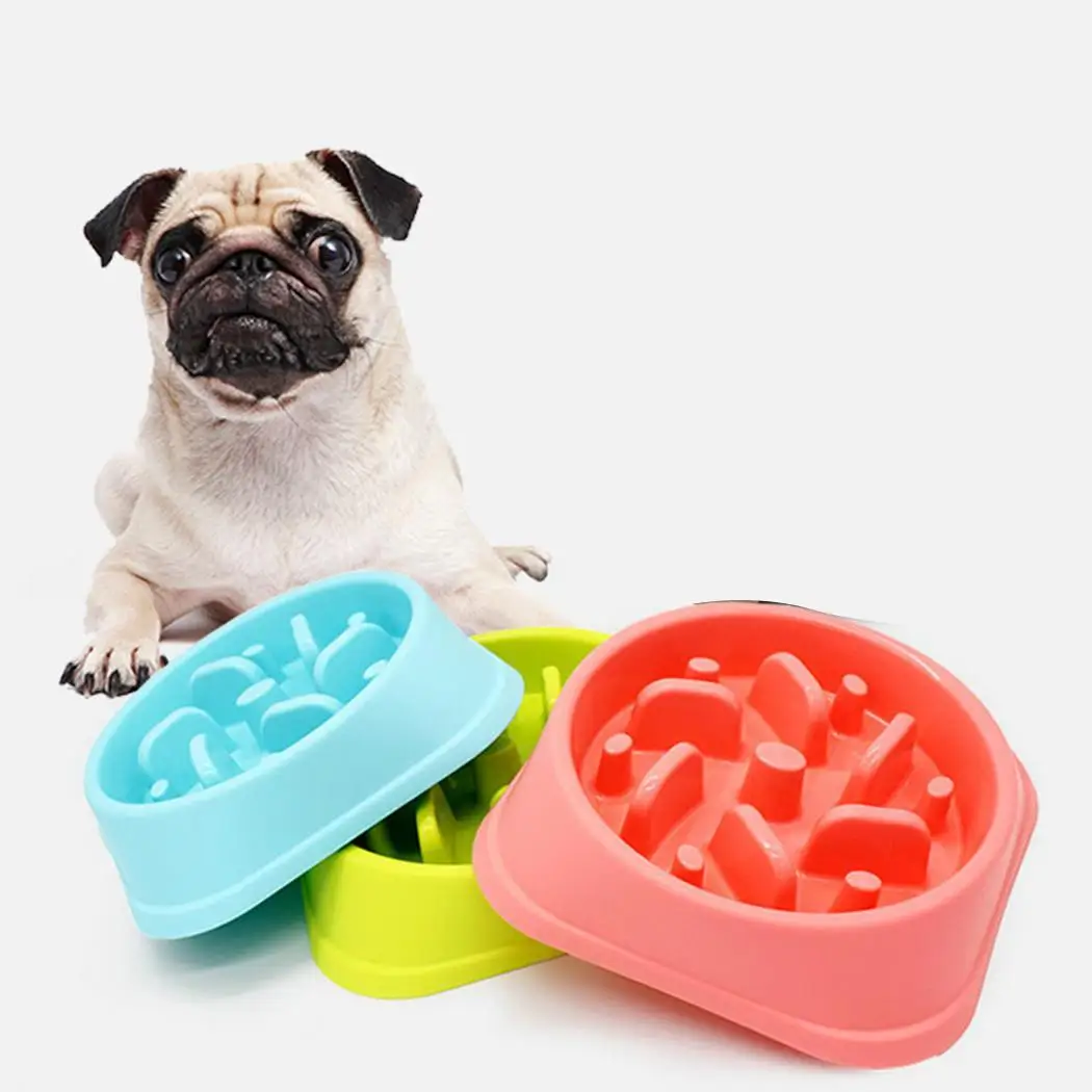

Pet Slow Food Bowl Anti Quick Gulp Pink, Green, Blue Feeder for Dog Cat Feeding Tools