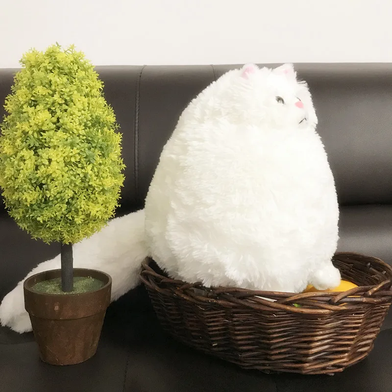 Сидя 30 см милый персидский кот игрушка подушка супер мягкий мультфильм кошка диван подушка домашнее животное кошка, игры в подарок