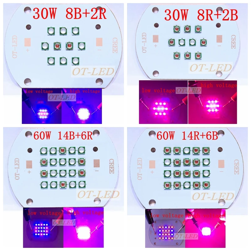 Светодиодная лампа для выращивания растений Cree XPE нм 450 нм|light green color chart|light indirectlight