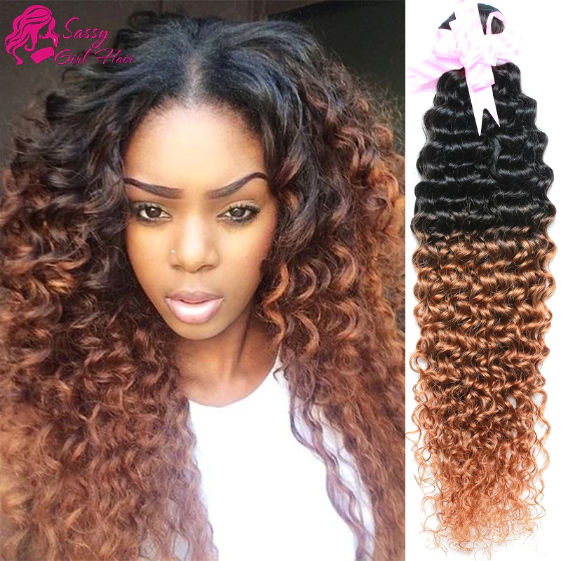 Kinky Curly Virgin Hair Ombre 4 Bundles Lot Short Kinky Curly Crochet ...