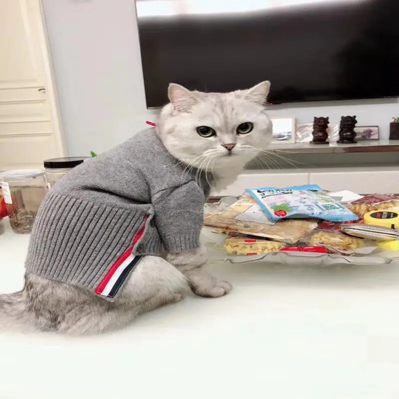 LISM кошка одежда свитер для кошек Зима Осень Теплый кот вязаный пальто котенок