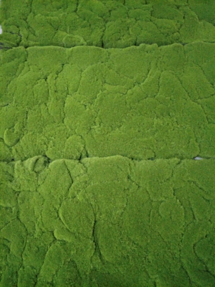 20181102094516