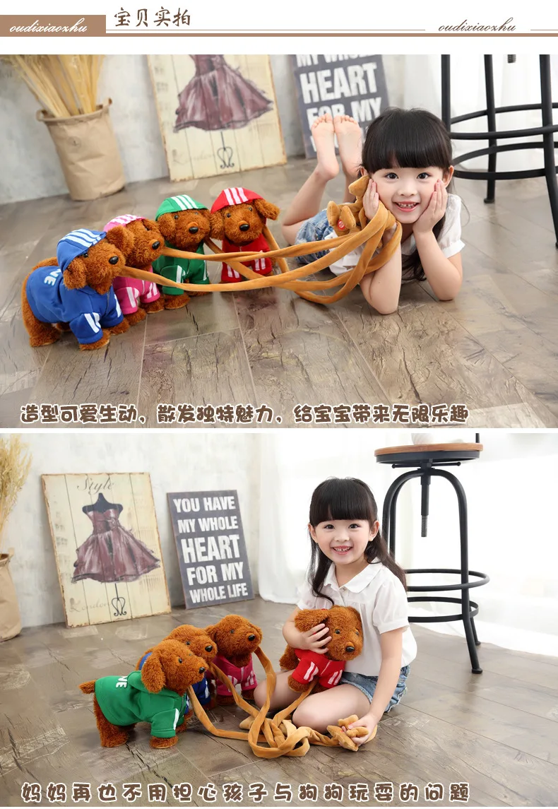 music-dog-pet (9)