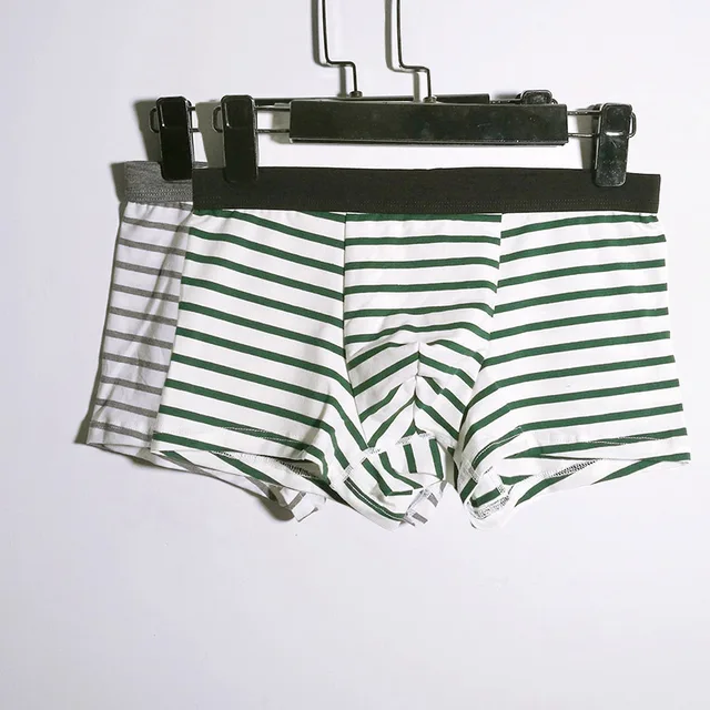 2Pcs/lot Breathable Underpants Modal & cotton Boxer Cotton Men Striped