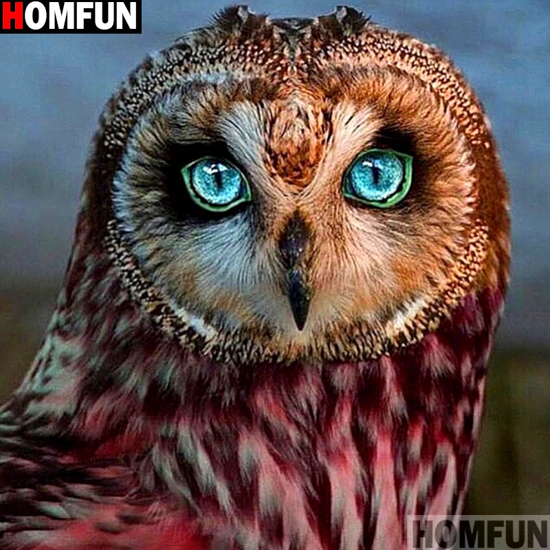 Алмазная живопись HOMFUN Сова алмазная вышивка с квадратными/круглыми стразами 5D