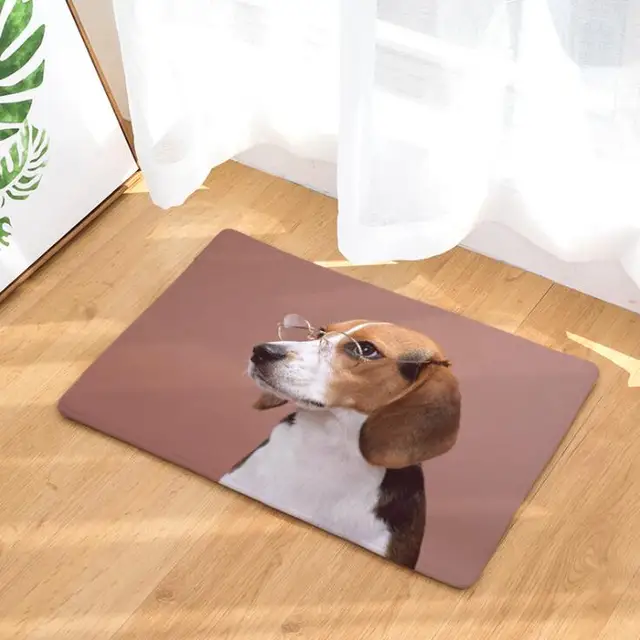 Door Mat Dog Printed Carpet Home Decoration Pugs Bath Mat Outdoor