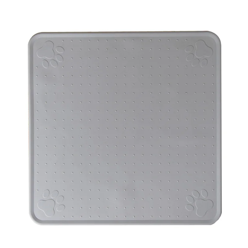 10550079123_449746504