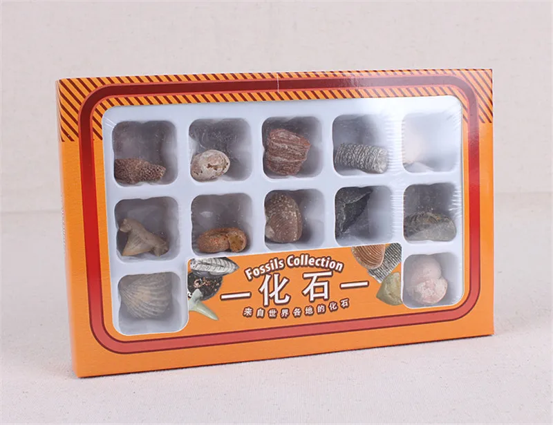 15 шт./компл. organization Set Organization натуральный Ston морская флора и фауна Исцеляющие