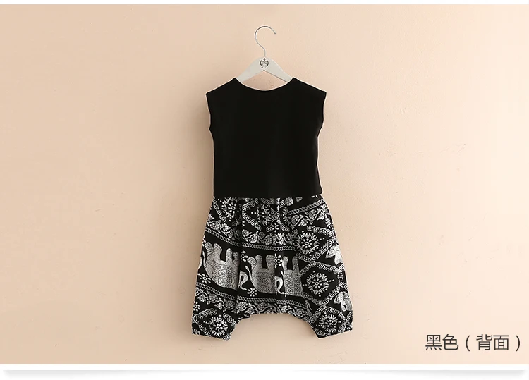 2018 Summer 2-10 Years Old Kids Little Yong Girl Cartoon Print T Shirt+Loose Short Harem Pants 2 Piece Sports Outfits Suit Sets (12)