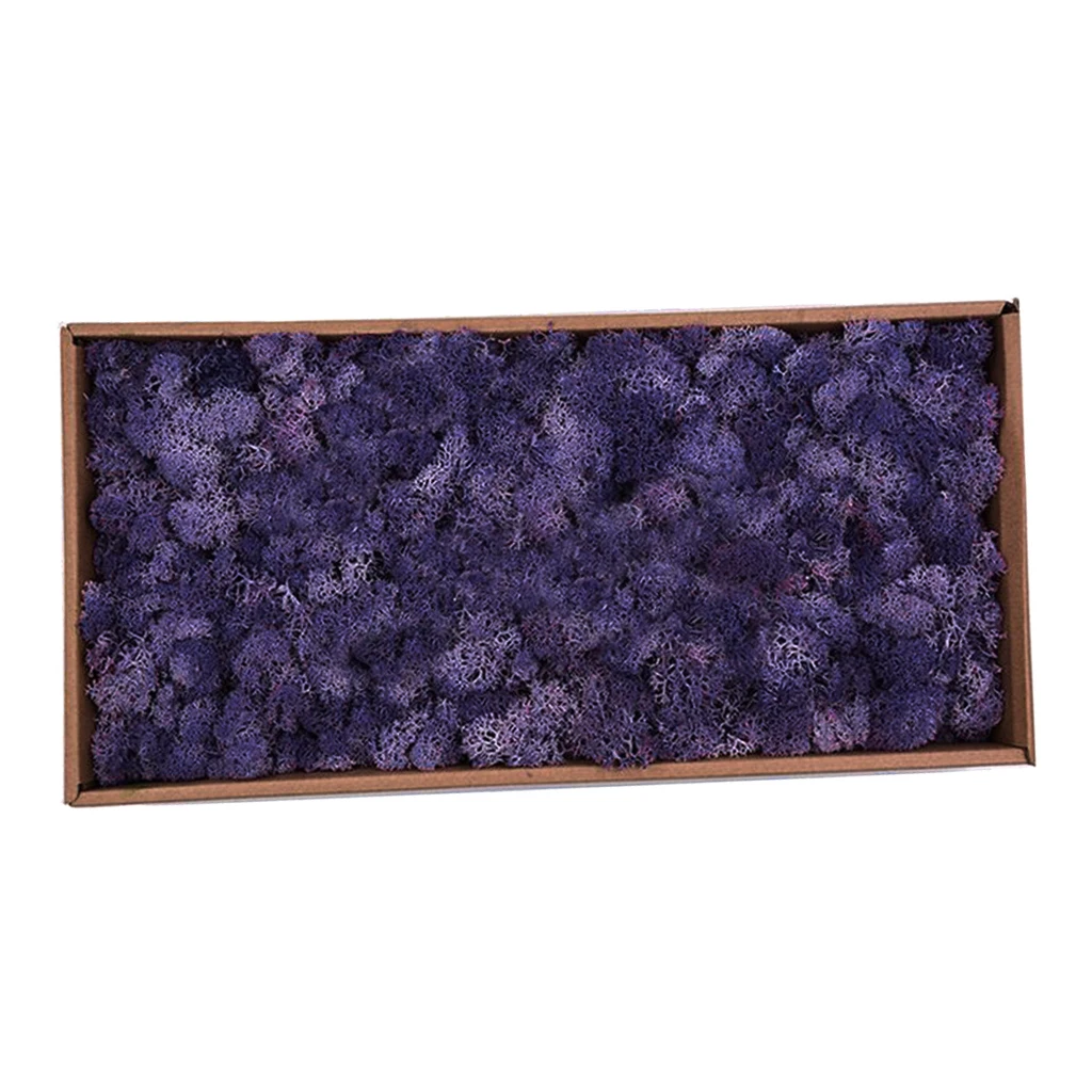 Purple Искусственные консервированные олени сушеный мох для террариумов Волшебные сады припасы: цветы, растения, домашняя гирлянда, Свадебная вечеринка - Цвет: Purple