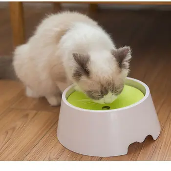 

Pet Not Wet Mouth Floating Drinking Bowls Dog Cat Health Feeding High Quality Eco-friendly Plastic Water Feeders Bowls
