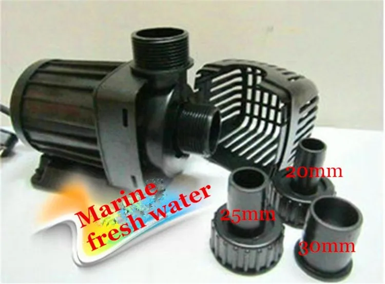 TM (6)