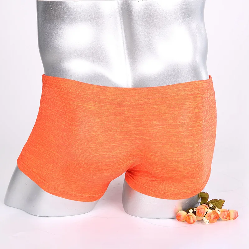 9137415254_692561676