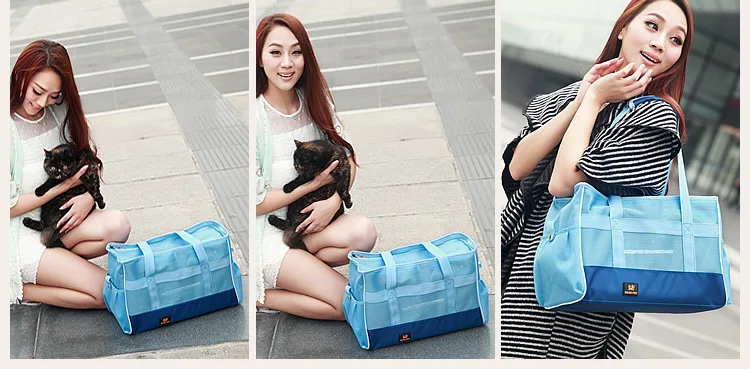 Dog Carrier Summer (21)
