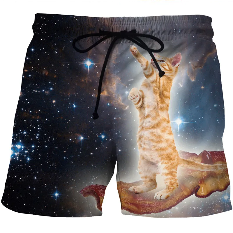 

Mens Hipster Summer Quick Dry Boardshorts 2019 3D Space Galaxy Cat Printed Beach Board Shorts Trunks Men Hiphop Shorts Masculino