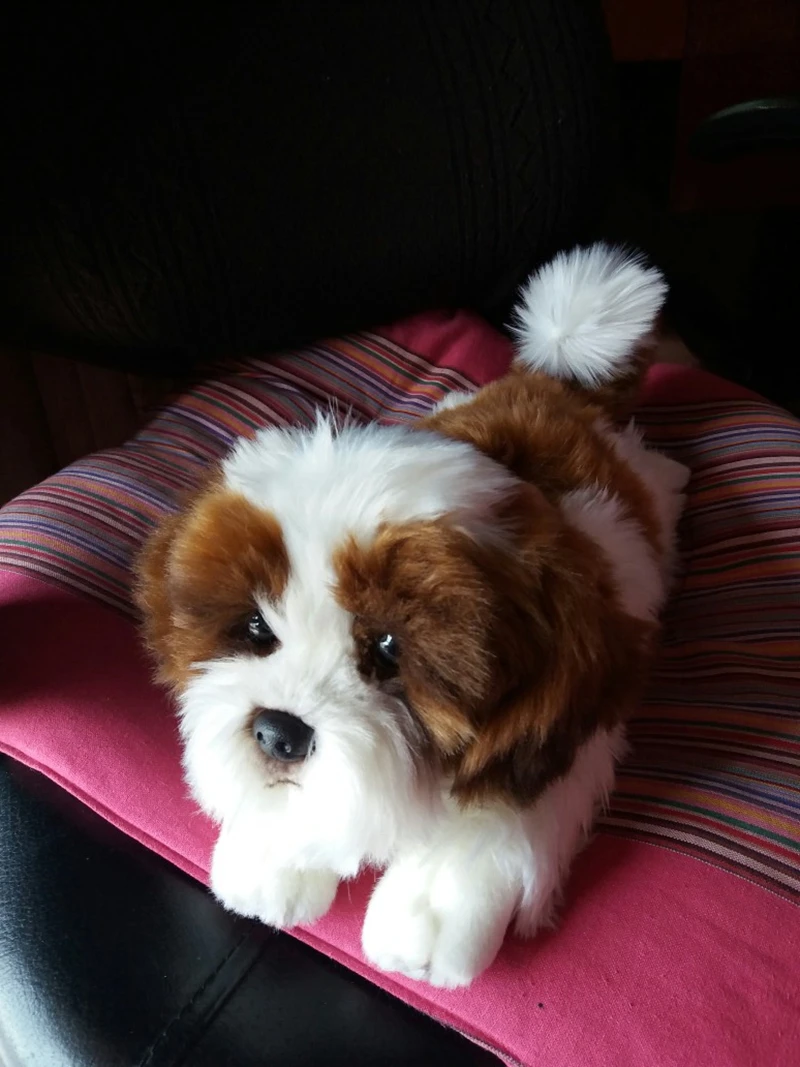 Dorimytrader quality soft animal lying poodle plush toy stuffed animals squatting  dog pekingese dogs doll kids gift car decoration DY50146 (2)
