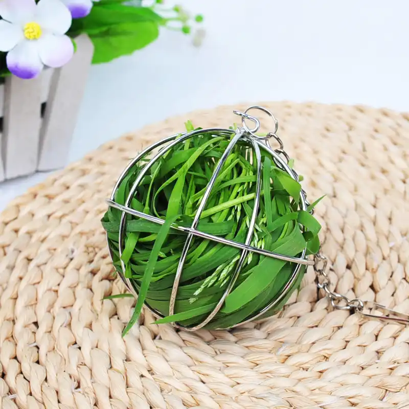 Stainless Steel Pet Toys Round Sphere Feed Bird Parrot Feeder Cage