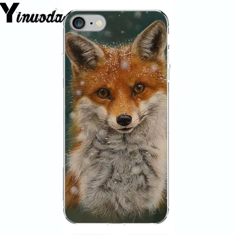 A Fox in The Wild Red Fox 