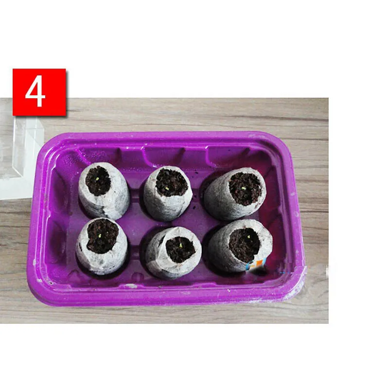 5Pcs seedlings, soil, potted plants, nutrient soil, potted peat particles, seedlings, garden supplies, gardening tools