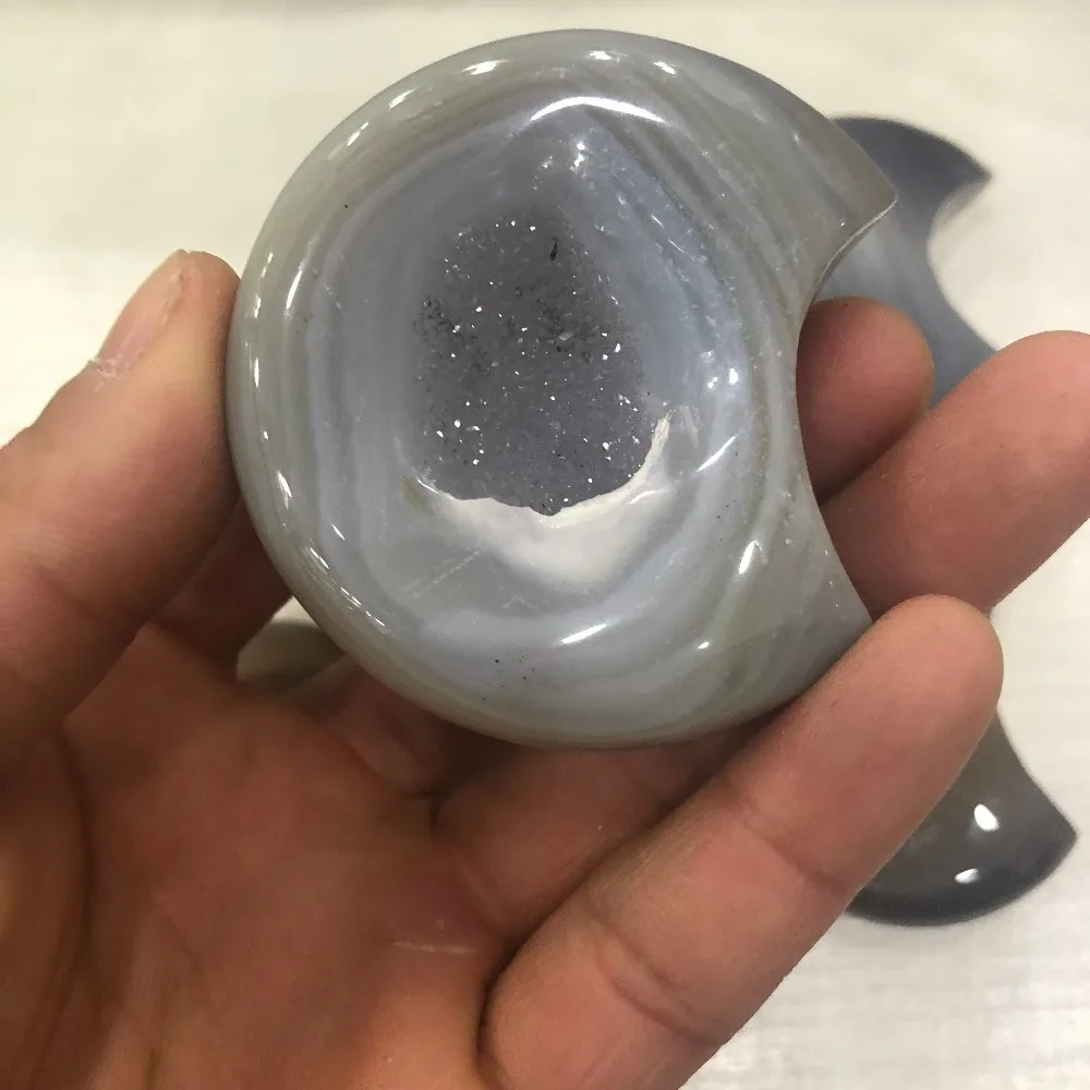 

1pcs Natural conch is spliced together and used for decoration