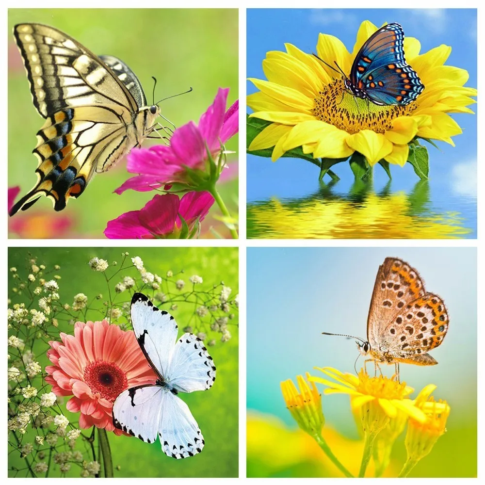 

HUACAN Full Drill Square 5D DIY Diamond Painting Butterfly Diamond Embroidery Flower Picture Of Rhinestone Mosaic Decor Home