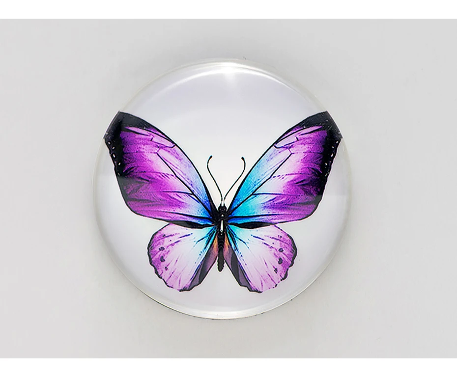 magnets for fridges 15