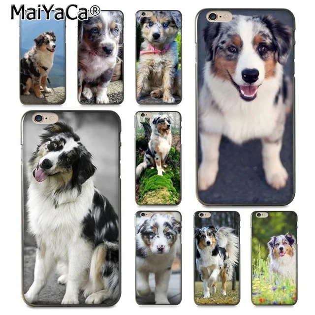 MaiYaCa животное милая собака Австралийская овчарка для iPhone 4S 5C 5S 6S 7 8 Plus X XR XS MAX Samsung