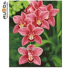 RUBOS DIY 5D Diamond Mosaic Red Cymbidium Orchid Diamond Embroidery Rhinestone Diamond Painting Needlework Wall Picture Sticker
