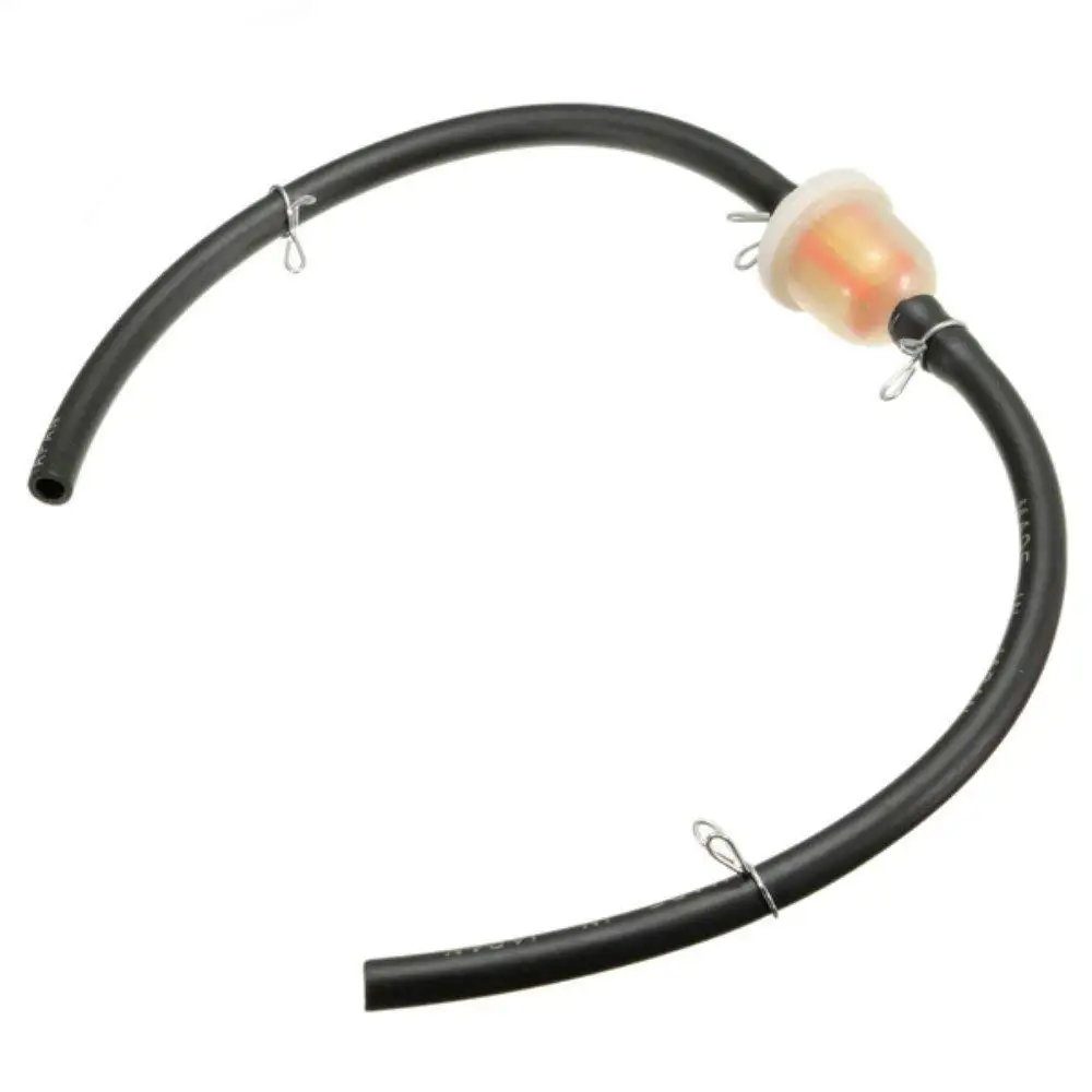 51bbL+5-v4L._SL1000_