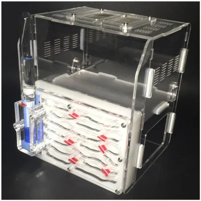 Толстые муравьи гнездо виллы мастерская муравей акриловые фермы муравьи замок насекомых клетки студентов научное устройство игрушка обучающая DIY игрушка M1H