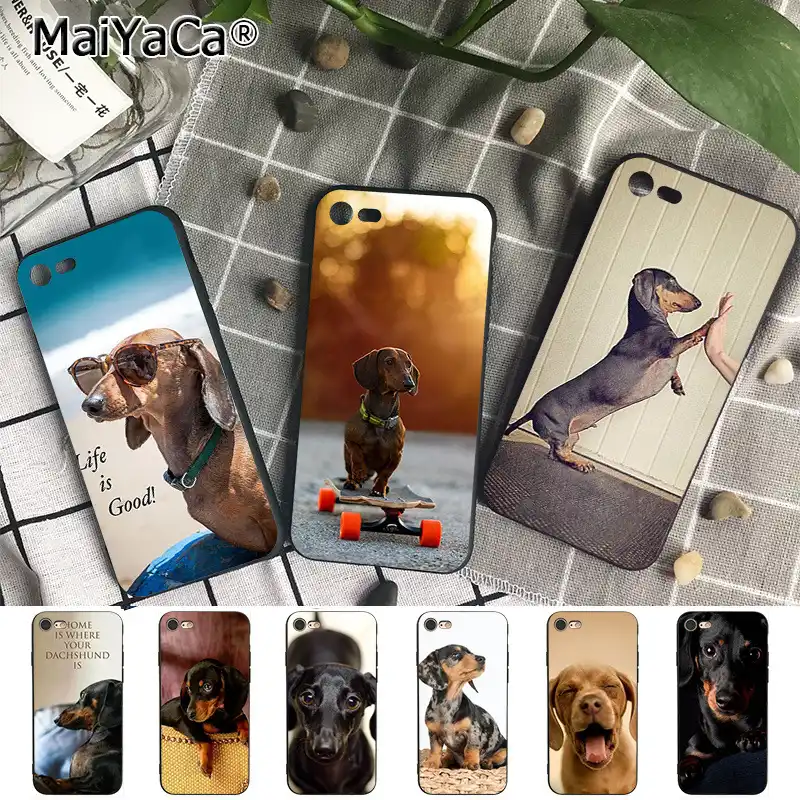 Dachshund Dog Silhouette(s) iphone 11 case Dachshund Dog Silhouette(s) iphone 11 case