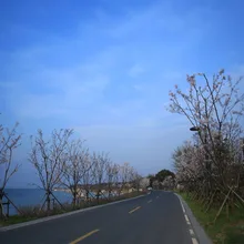 73 шт. цветок бабочка мультфильм аэрограф трафареты для татуировок хной шаблон милый рисунок мелкие блестки трафарет татуировки для женщин и девочек