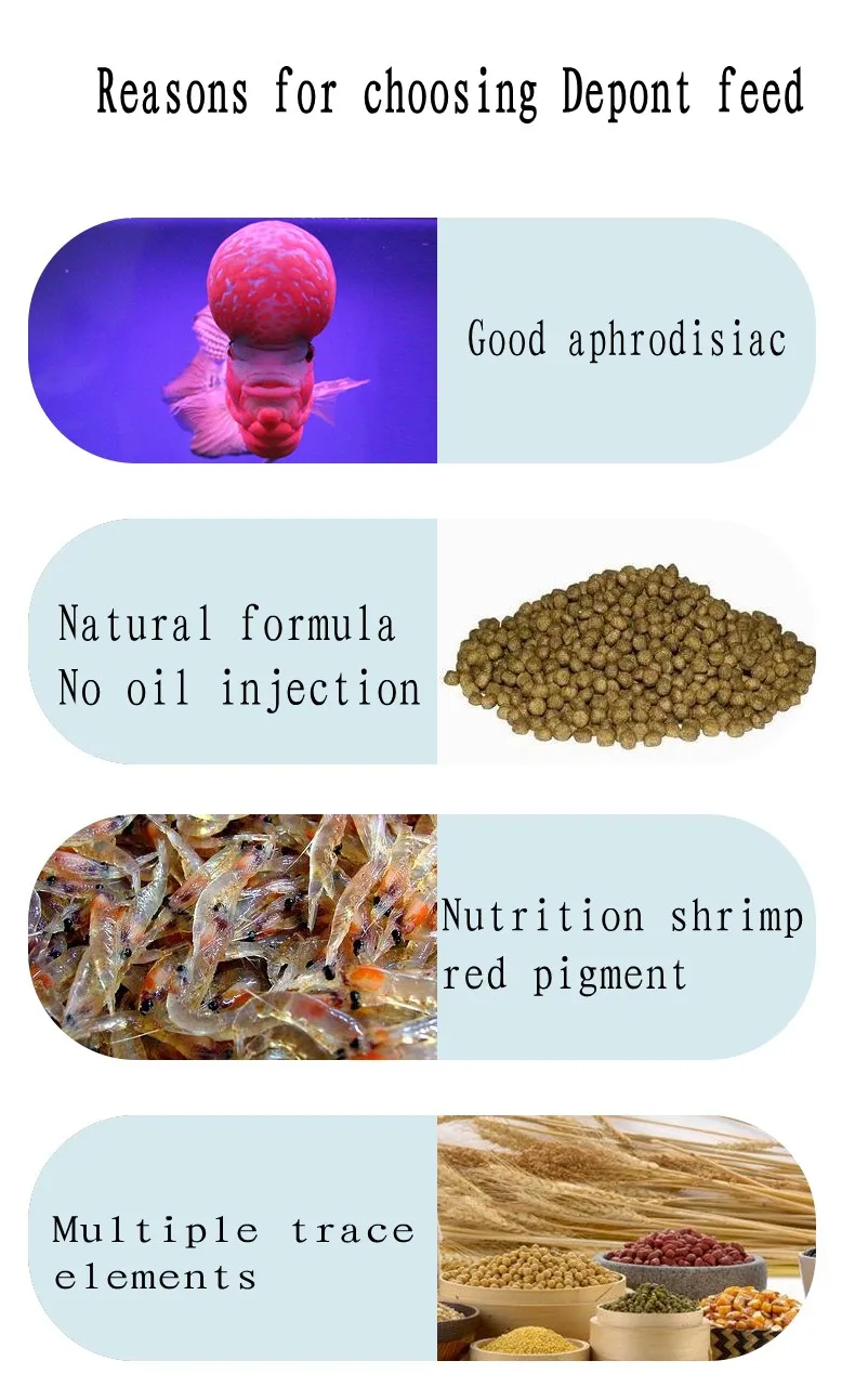 Depont цветок рога кормовой головки улучшения цвета Корма супер горб и цвет Улучшенная пища для flowerhorn рыбы