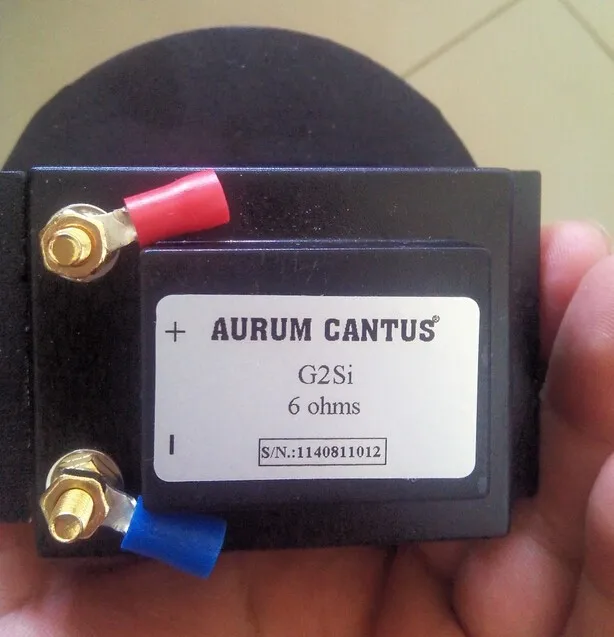 aurum cantus g2si